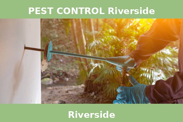 PEST CONTROL Riverside